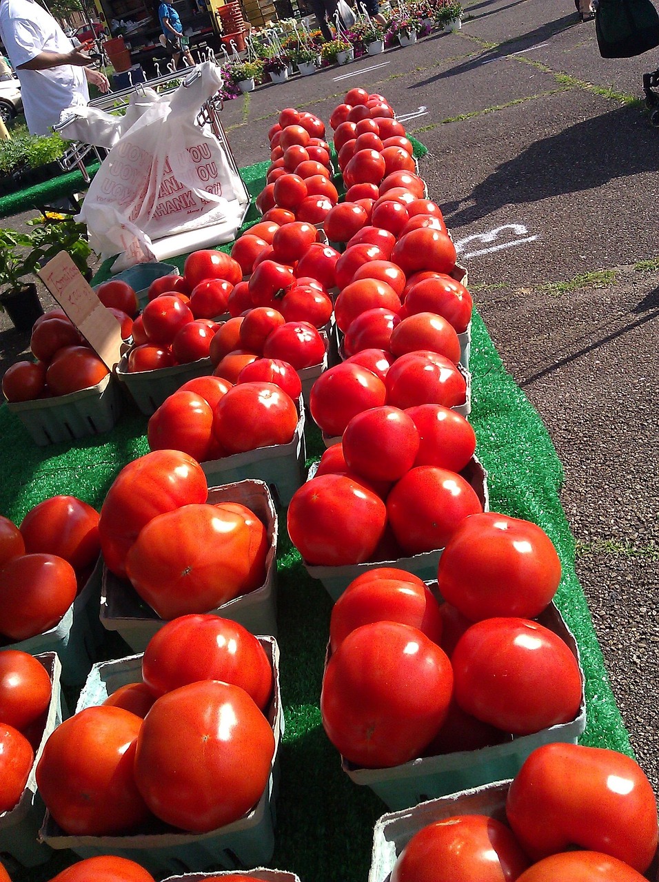 tomatoes, nature, farmers, market, fresh, organic, healthy, tomato, vegetable, natural, produce, agriculture, garden, harvest, ripe, groceries, ingredients, veggies, farming, agricultural, farmers market, crop